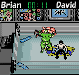Big Bang Pro Wrestling